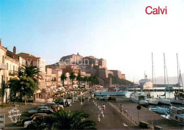 Calvi La citadelle