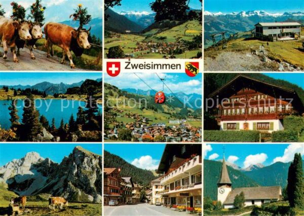 Zweisimmen BE Simmentaler-Fleckvieh Rinderberg Seeber