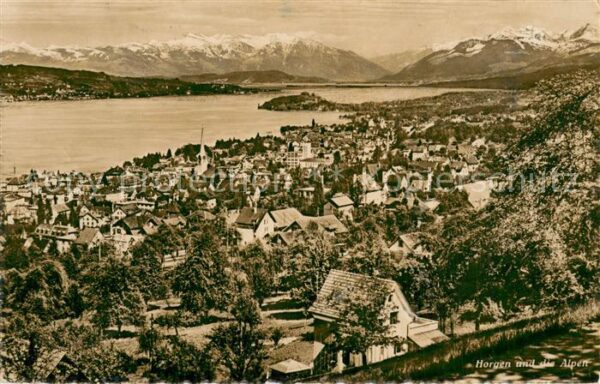 Horgen ZH Panorama mit den Alpen