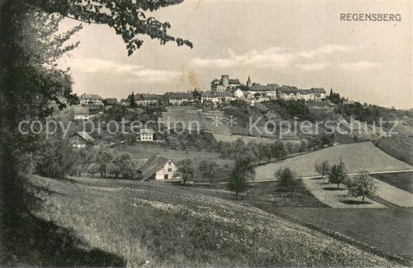 Regensberg Dielsdorf ZH Panorama Schloss