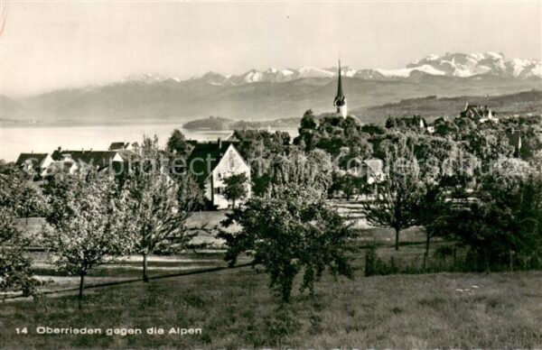Oberrieden ZH Panorama mit Alpen
