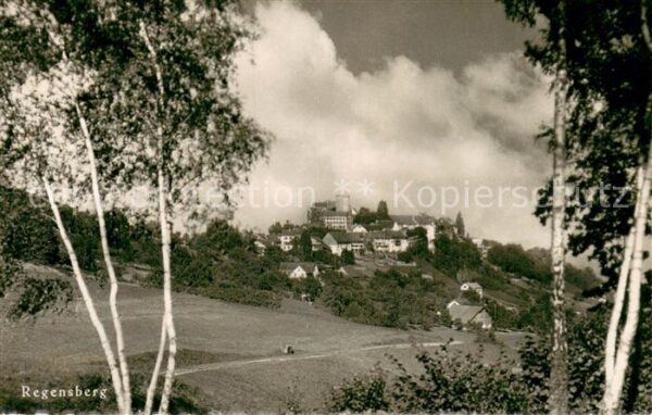 Regensberg Dielsdorf ZH Panorama