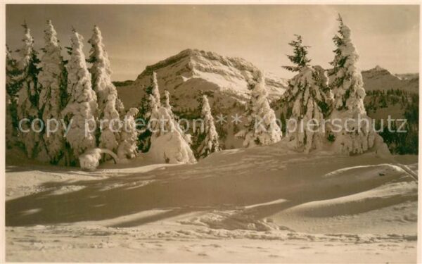 Ebnat-Kappel Winteridyll