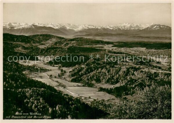Uetliberg ZH Blick auf Reppischtal und Berner Alpen