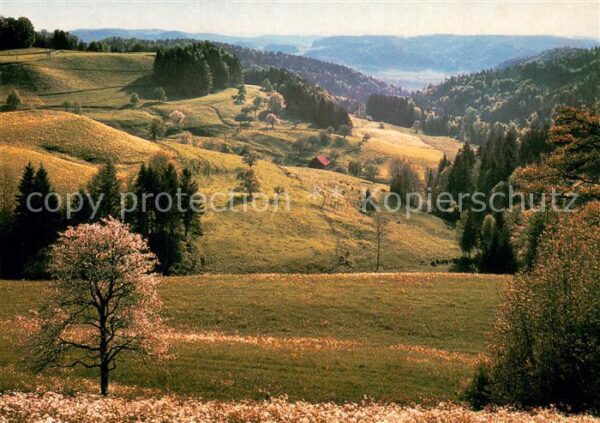 Sitzberg ZH Panorama
