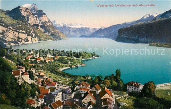 Weesen  Walensee SG Panorama mit Leistkamm und Alvierkette