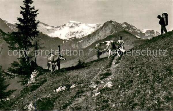 Adelboden mit Wildstrubel und Fizer