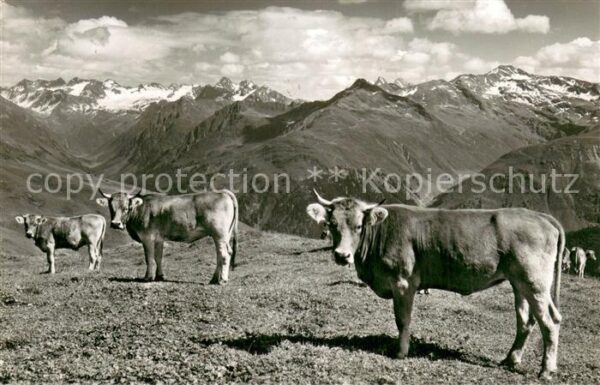 Klosters GR Blick vom Parsenn ins Silvrettagebiet