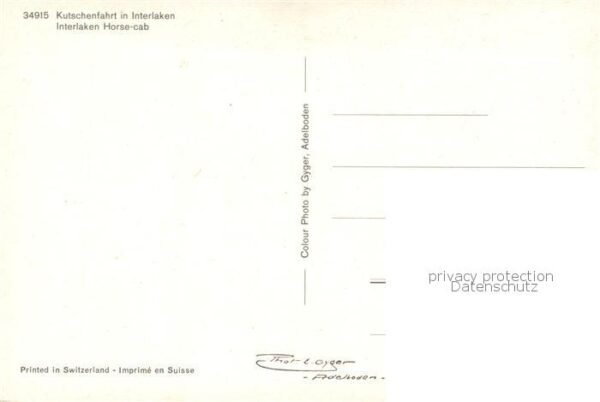 Interlaken BE Kutschenfahrt – Bild 2