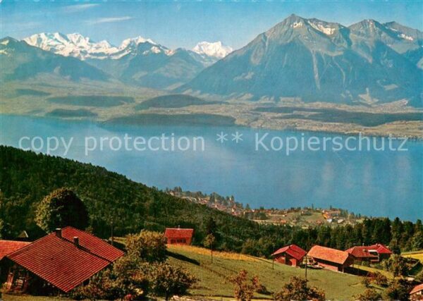 Haltenegg Thun Blick auf Thunersee Blümlisalp Doldenho