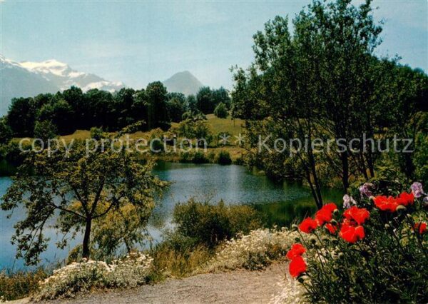 Ringgenberg Brienzersee Burgseeli Schwalmern Abendberg
