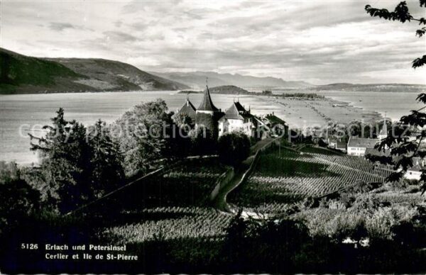 Erlach BE mit Petersinsel Bielersee