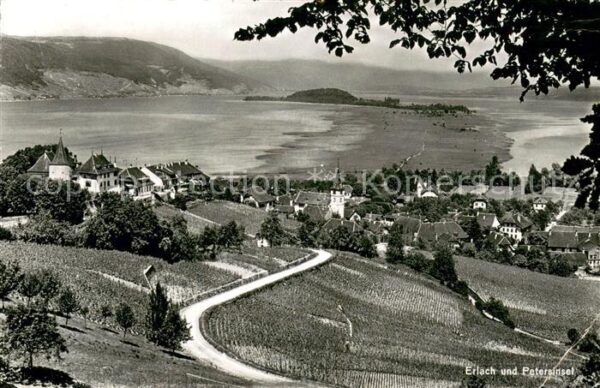 Erlach Bielersee BE mit Petersinsel