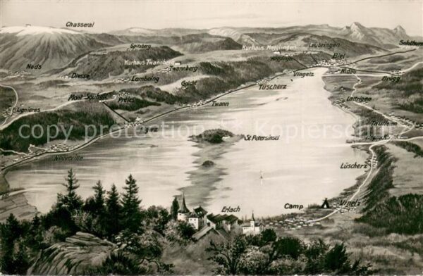 Erlach Bielersee BE Panorama mit Petersinsel