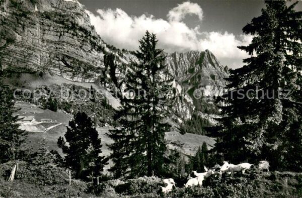 Schwenden Diemtigtal Grimmialp