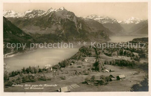 Seelisberg UR Fliegeraufnahme mit Axenstrasse und Bri