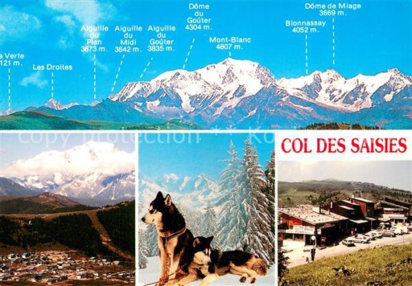 Col-des-Saisies 73 Savoie Panorama Schäferhunde Hotel