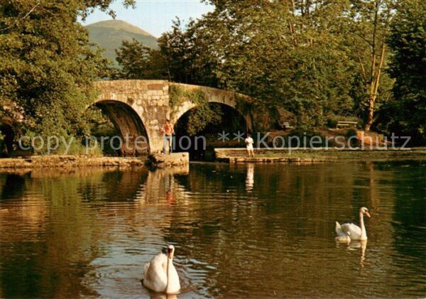 Ascain Pont romain Cygnes