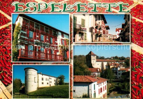 Espelette 64 Pyrenees-Atlantiques Vues d ensemble Hotel