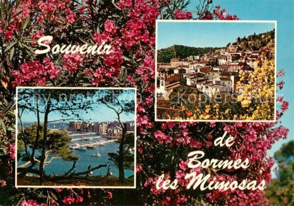 Bormes-les-Mimosas 83 Var Prix des Villages fleuris de France Por
