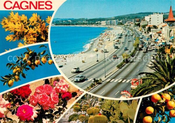 Cagnes-sur-Mer 06 La plage de Cros Fleurs Fruits