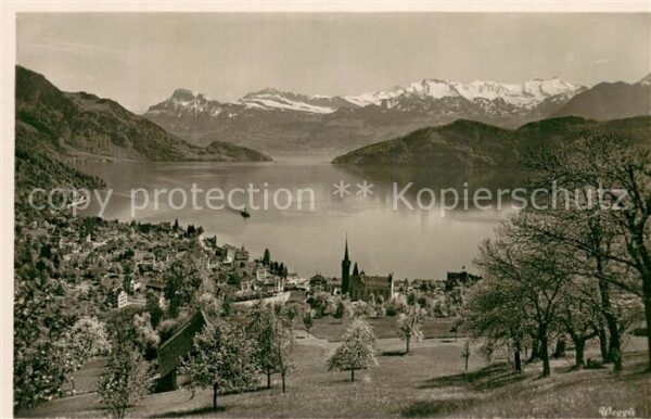 Weggis Vierwaldstaettersee Panorama