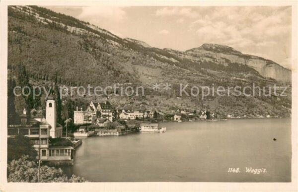 Weggis Vierwaldstaettersee Panorama
