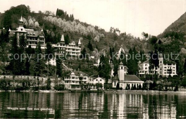 Weggis Vierwaldstaettersee Seeblick