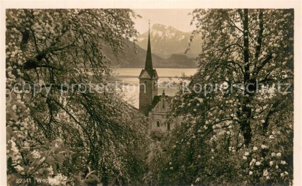 Weggis Vierwaldstaettersee Kirche