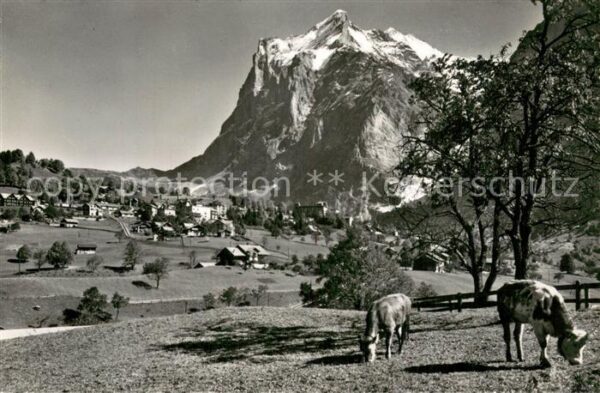 Grindelwald mit Wetterhorn