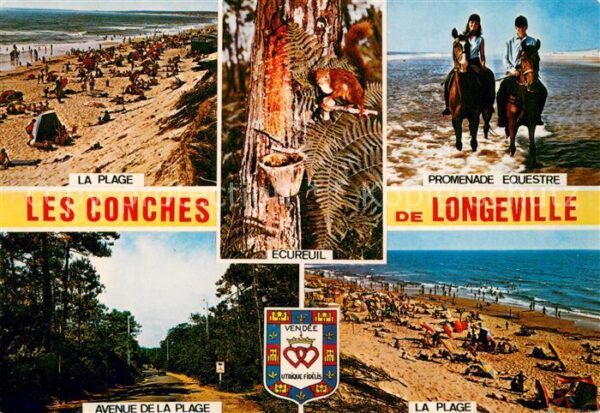 Longeville-sur-Mer La plage les Conches Promenade de Longe