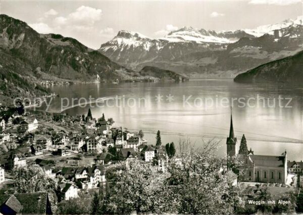 Weggis Vierwaldstaettersee mit den Alpen