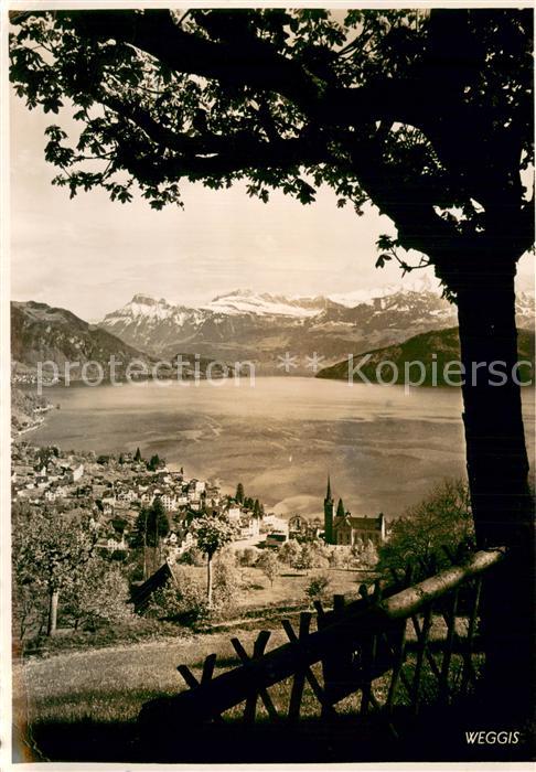 Weggis Vierwaldstaettersee Panorama