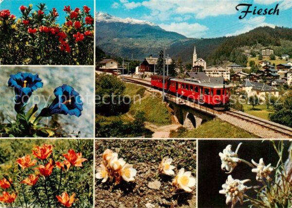 Fiesch VS Furka-Oberalp-Bahn