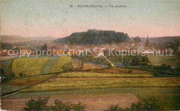 Bitche 57 Moselle Vue generale