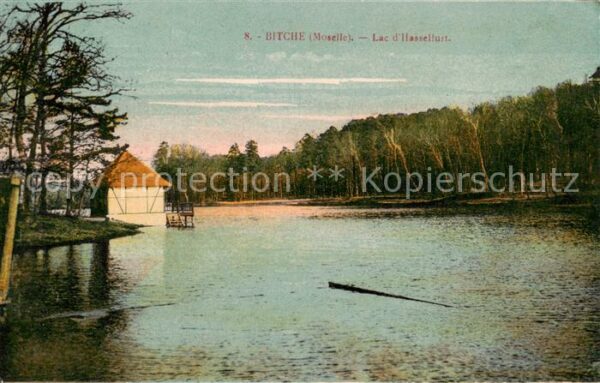 Bitche 57 Moselle Lac d_Hasselfurt