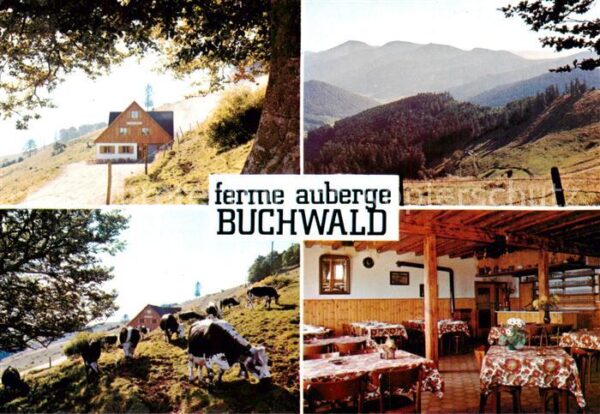 Breitenbach 68 Alsace Haut-Rhin Ferme Auberge Buchwald Viehweide Gastst