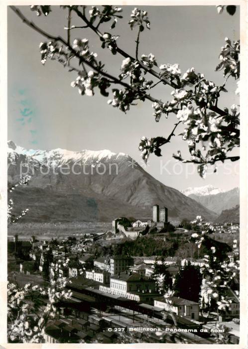 Bellinzona Panorama da nord