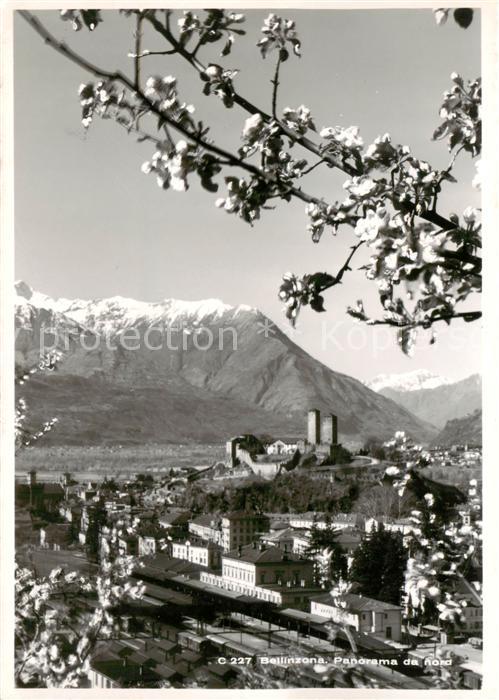 Bellinzona Panorama da nord