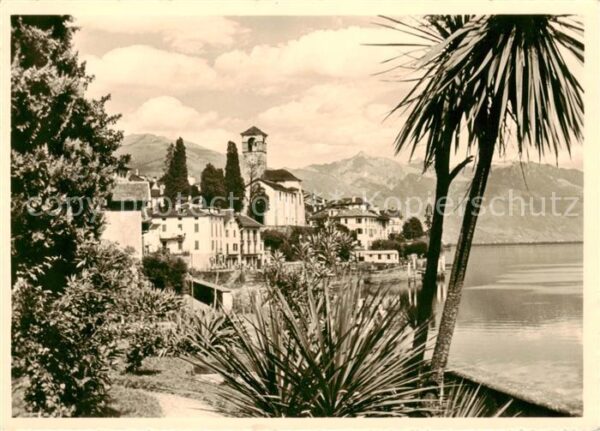Brissago Lago Maggiore TI Panorama