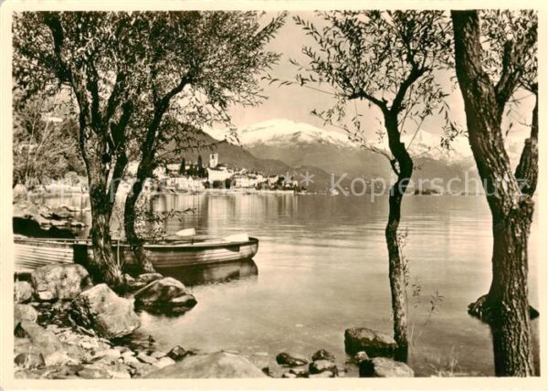 Brissago Lago Maggiore TI Panorama