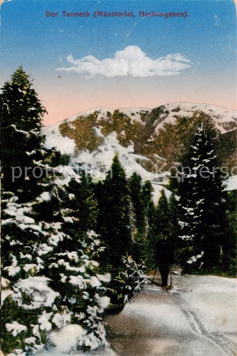 Muenstertal Gerardmer 88 Vosges Das Tanneck