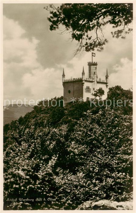 Saeli Schloss Wartburg