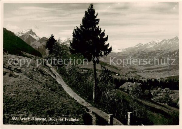 Allmend Aeschi Spiez BE Blick ins Frutigtal