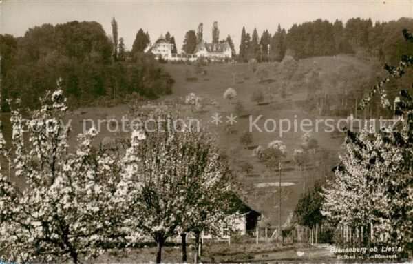 Bienenberg Solbad und Luftkurort Kurhotel Baumblüt