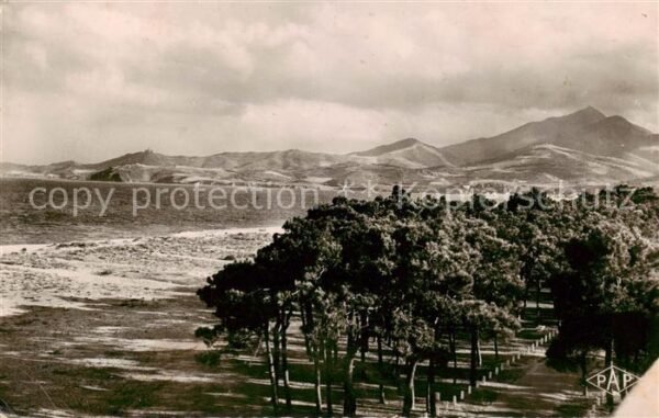 Argeles-sur-Mer 66 Pyrenees-Orientales Plage Pins