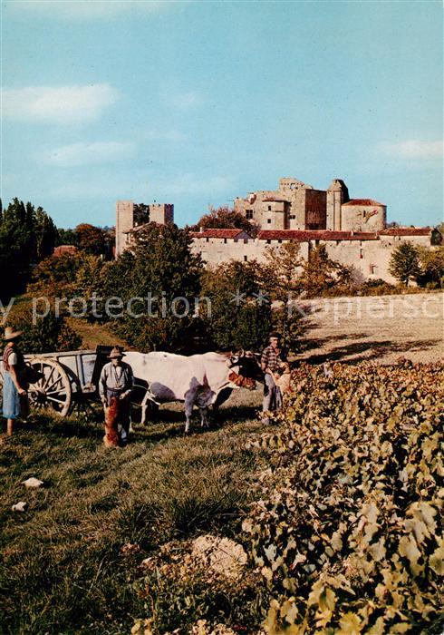 Larressingle 32 Gers Vendanges Village fortifié du XIII sièc