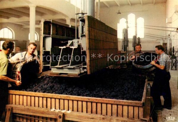 Champagne  Weinregion Pommery-Greno Le Pressoir