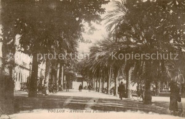 Toulon Var Avenue des Palmiers