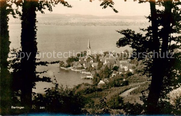 Berlingen Untersee Panorama